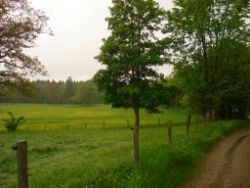 2013-05-19_Iffeldorf_Aiderbichl (27).JPG